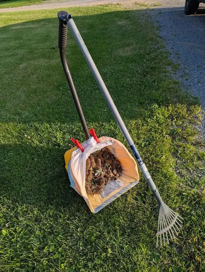 Lightning Scoopers cleaning commercial pet waste station in Genesee County NY
